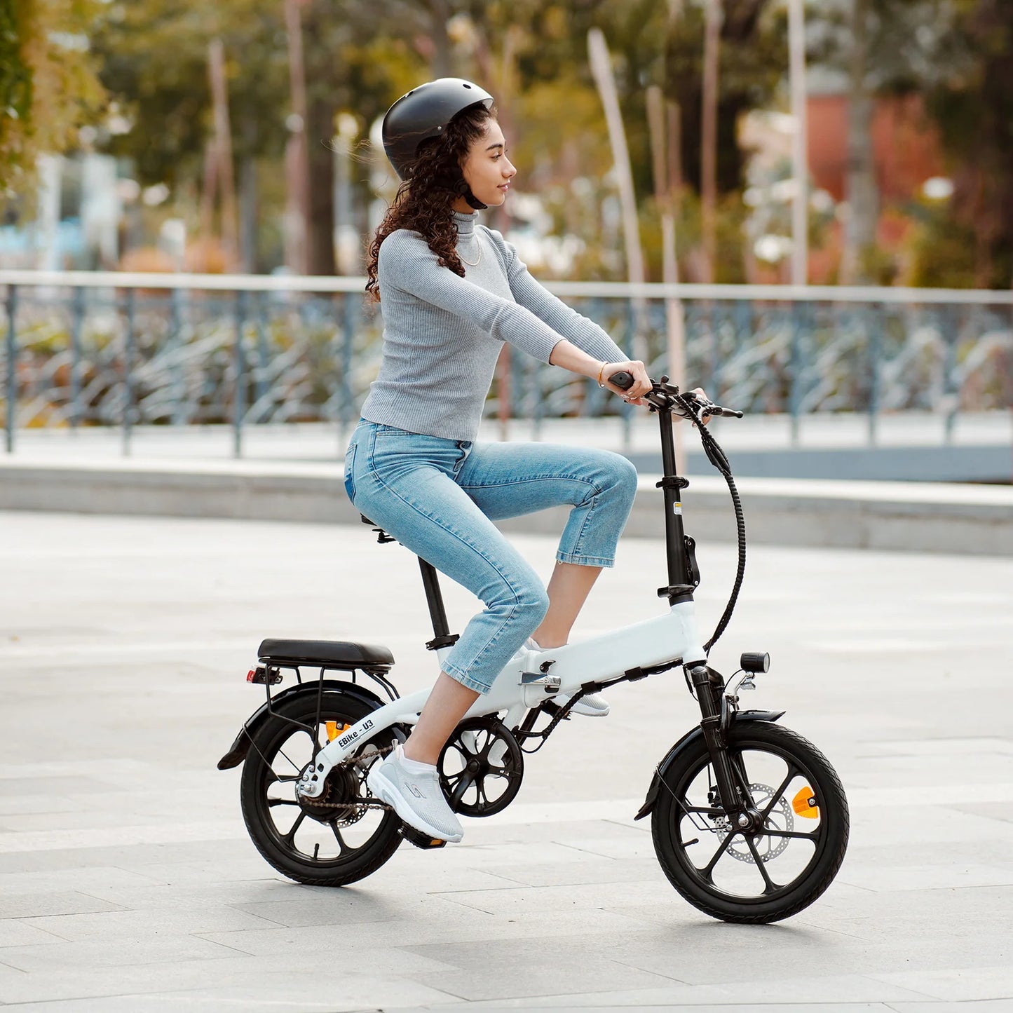 U3 Folding Electric Bike (Foldable)